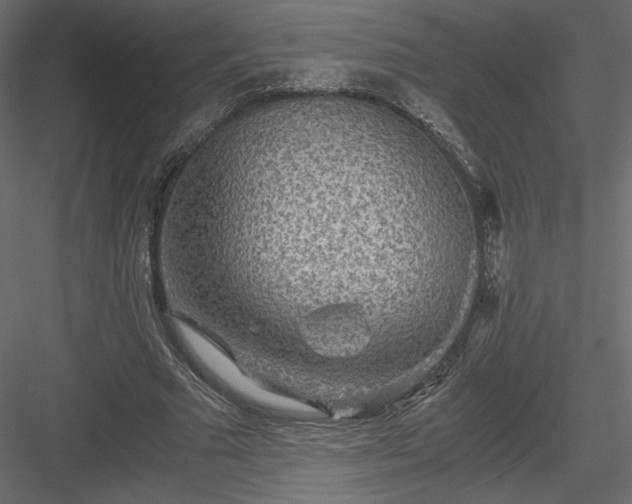 X0000084030681200702232259