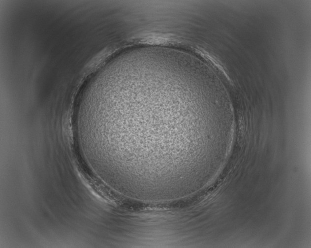 X0000084030682200702232259