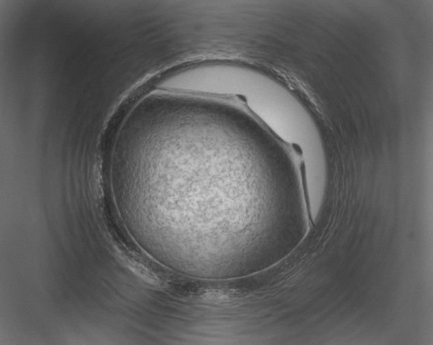 X0000084030684200702232259