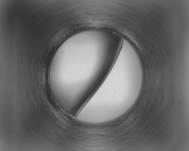 X0000084030685200702232259