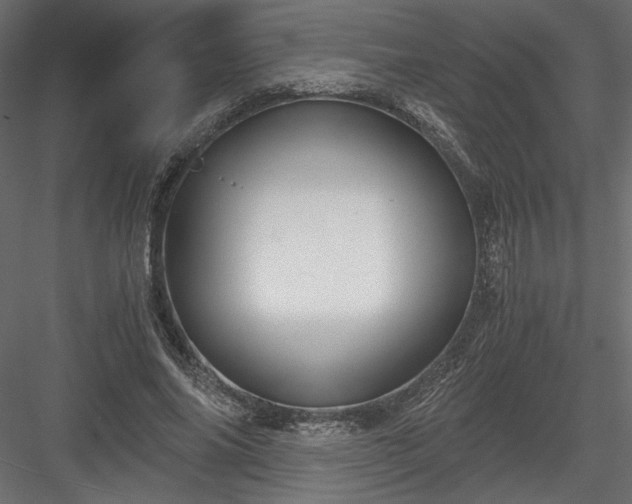 X0000084030686200702232259