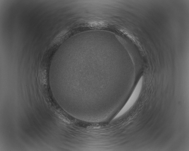 X0000084030689200702232259