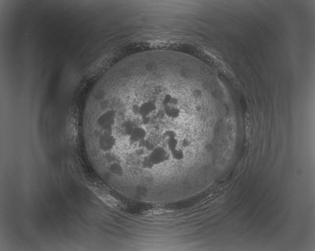 X0000084030691200702232259