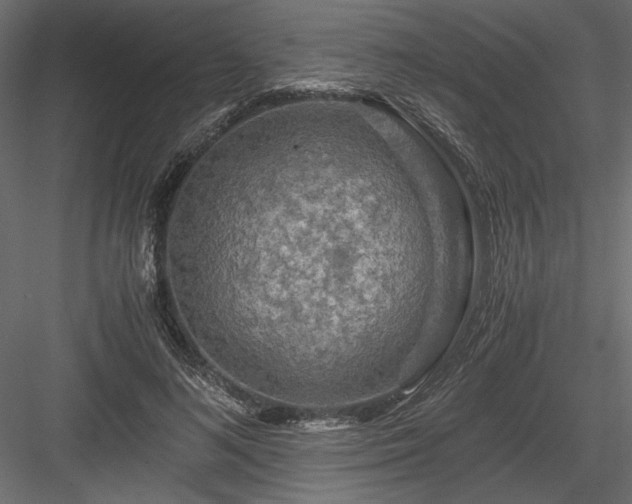 X0000084030692200702232259