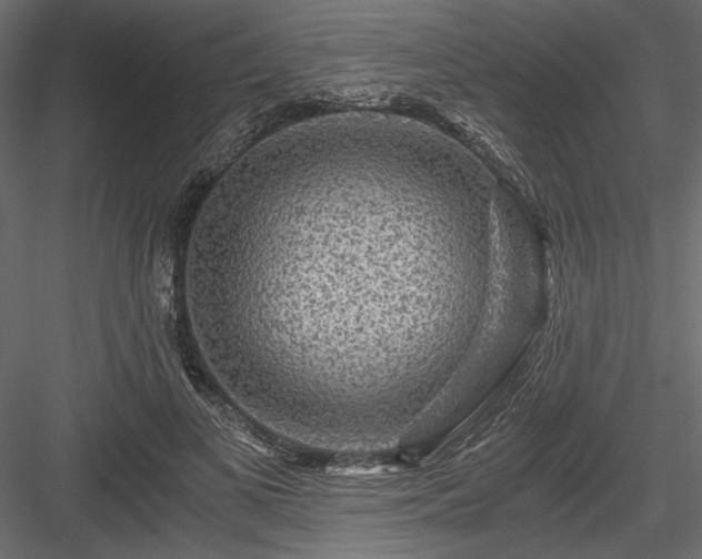 X0000084030693200702232259