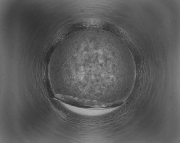 X0000084030695200702232258