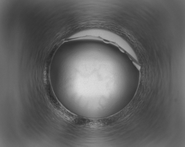 X0000084030696200702232258