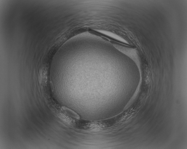 X0000084030697200702232258