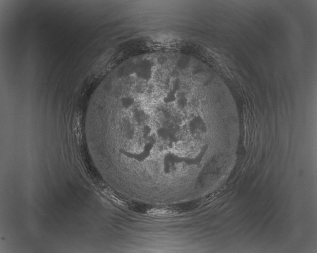 X0000084030699200702232258