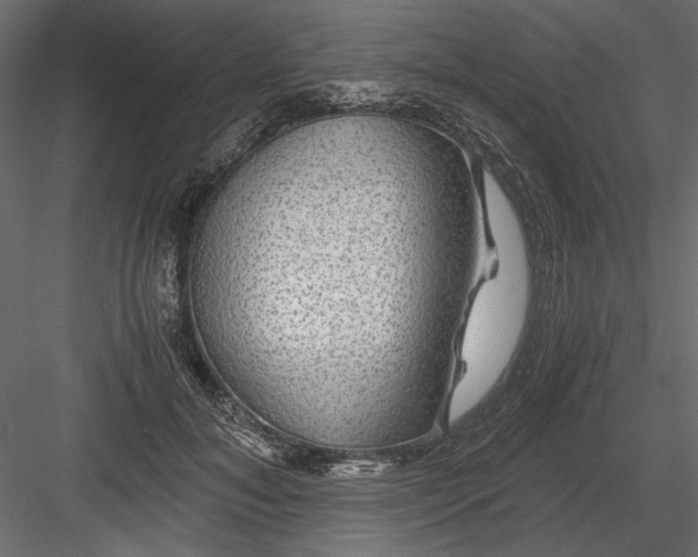 X0000084030700200702232258