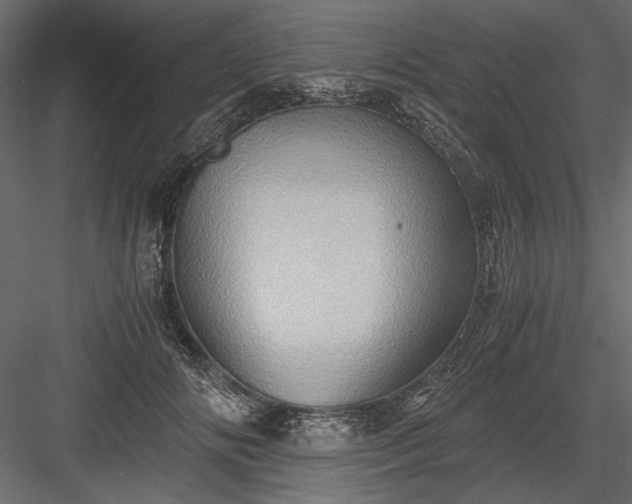 X0000084030702200702232258