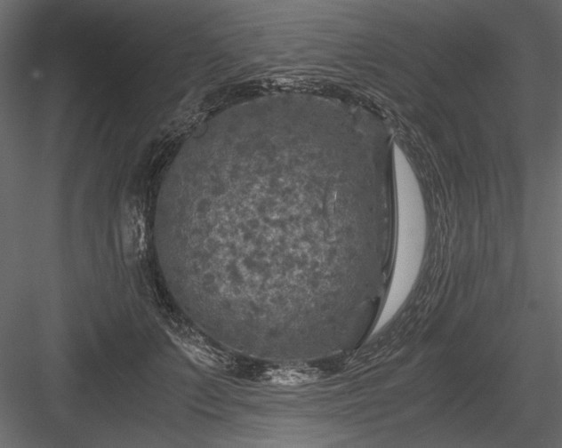 X0000084030703200702232258