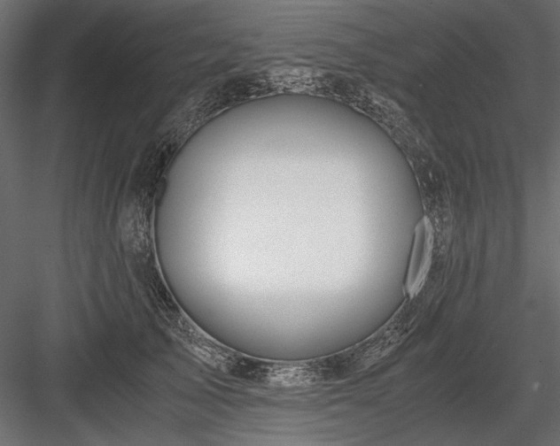 X0000084030705200702232258