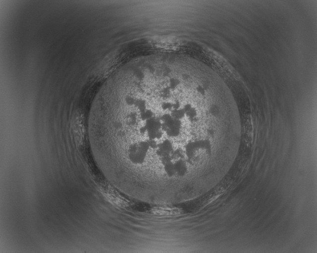 X0000084030707200702232258