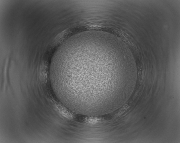 X0000084030710200702232258