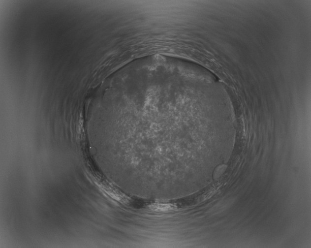 X0000084030711200702232258