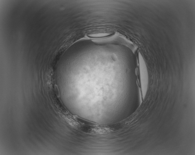 X0000084030712200702232258