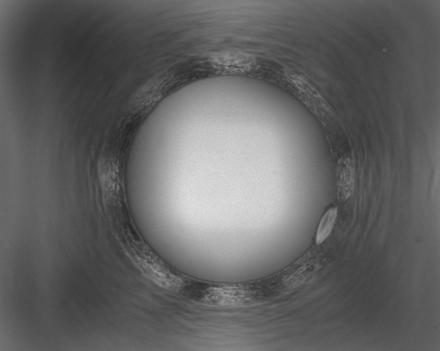 X0000084030713200702232258