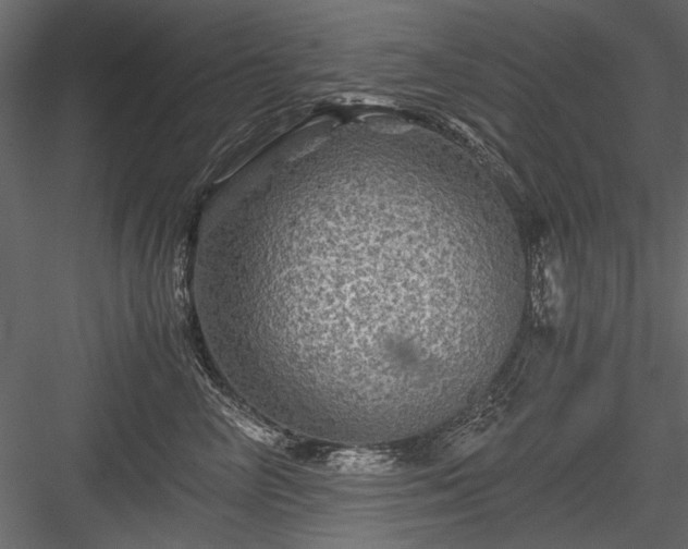 X0000084030714200702232258