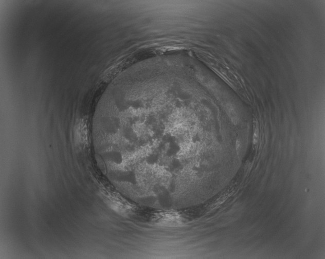 X0000084030715200702232258