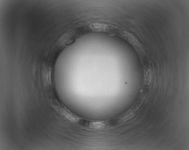 X0000084030717200702232258