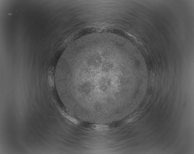 X0000084030719200702232258