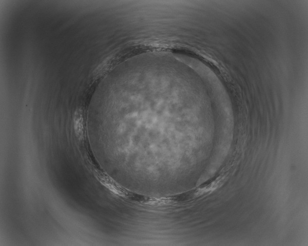 X0000084030720200702232258