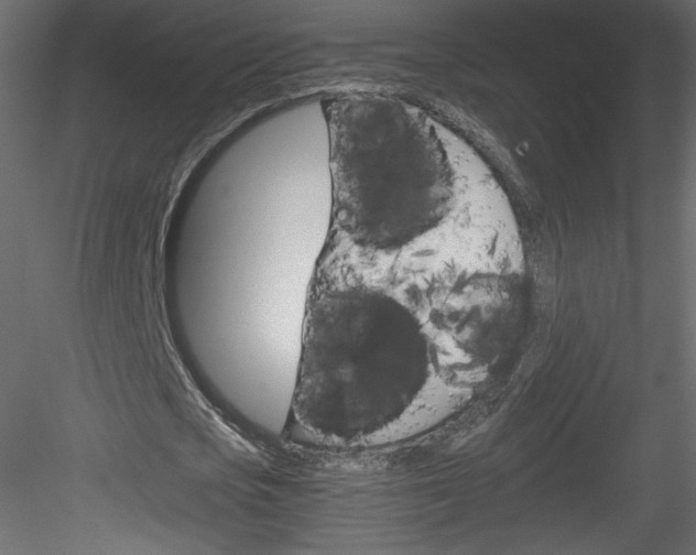 X0000084030721200702232257