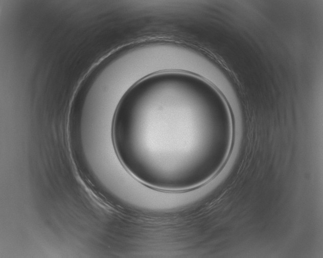 X0000084030722200702232257