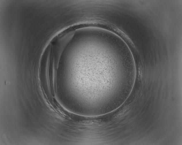 X0000084030724200702232257