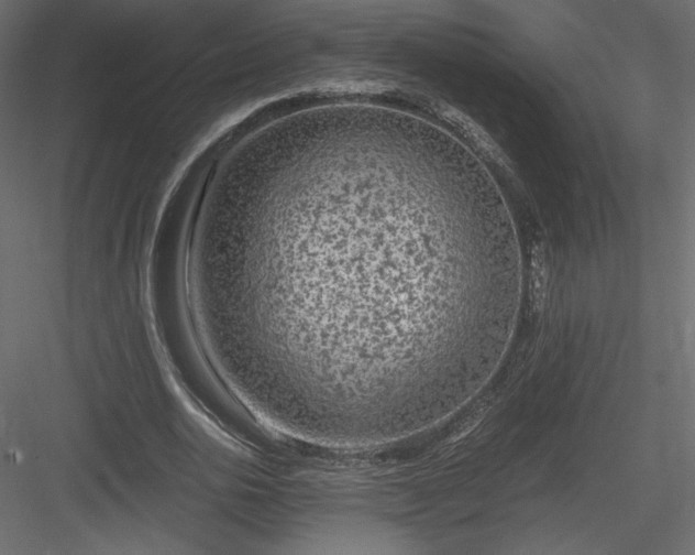 X0000084030726200702232257