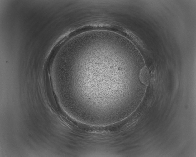 X0000084030727200702232257