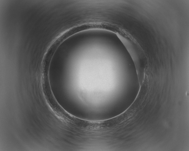 X0000084030728200702232257