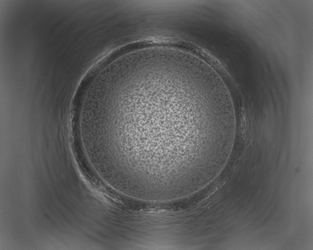 X0000084030730200702232257