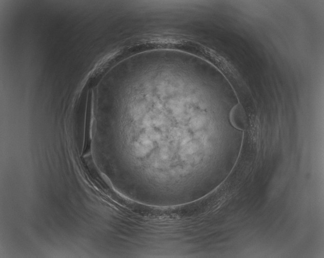 X0000084030731200702232257