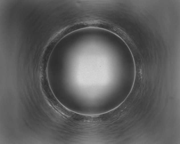 X0000084030732200702232257