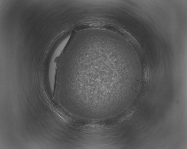 X0000084030733200702232257