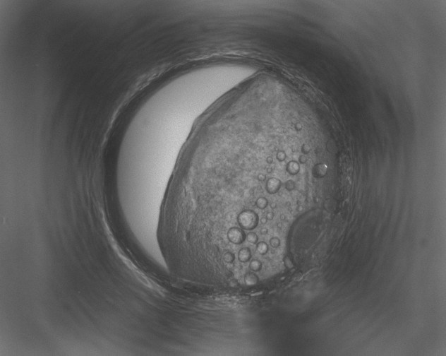 X0000084030734200702232257