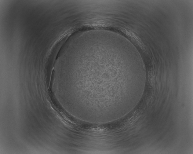 X0000084030735200702232257