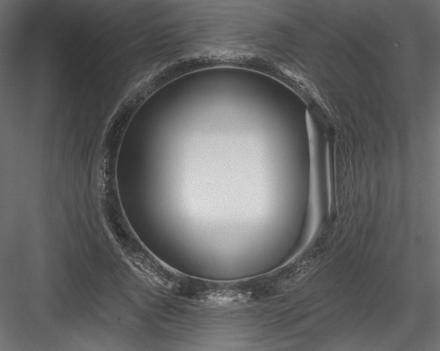 X0000084030736200702232257