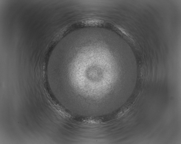 X0000084030737200702232258