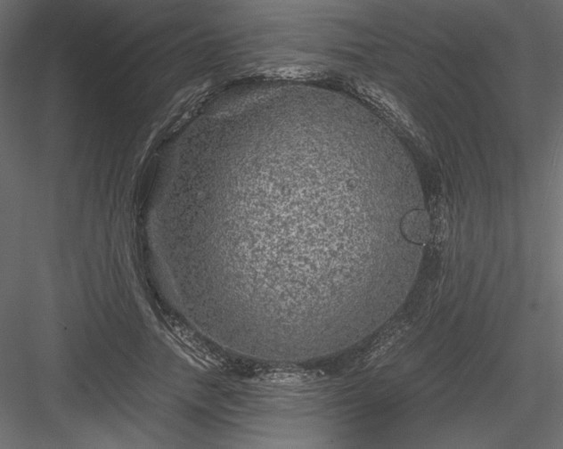 X0000084030738200702232258