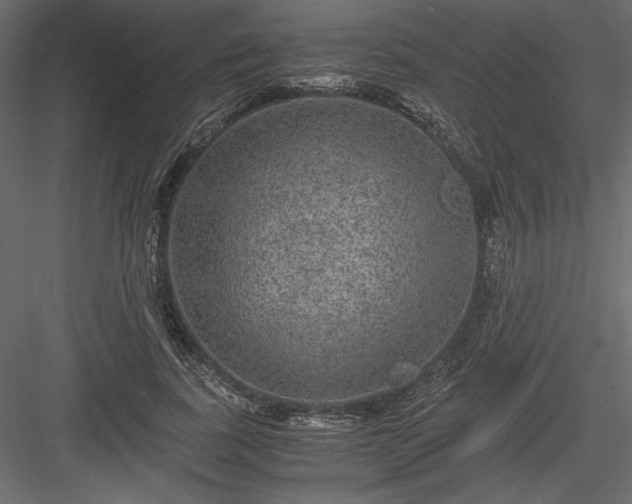 X0000084030739200702232258