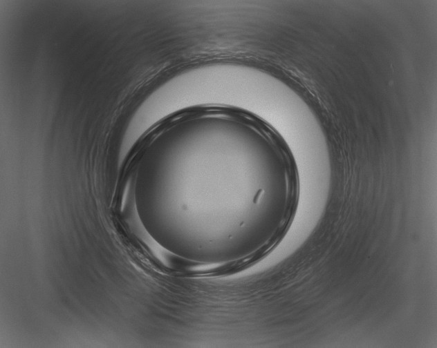 X0000084030740200702232258