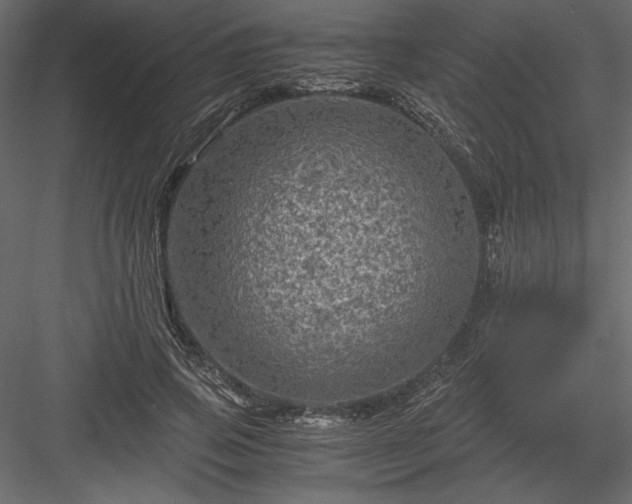 X0000084030741200702232258