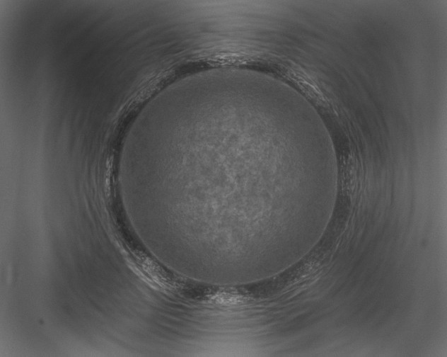 X0000084030742200702232258