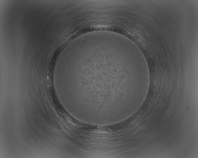 X0000084030743200702232258