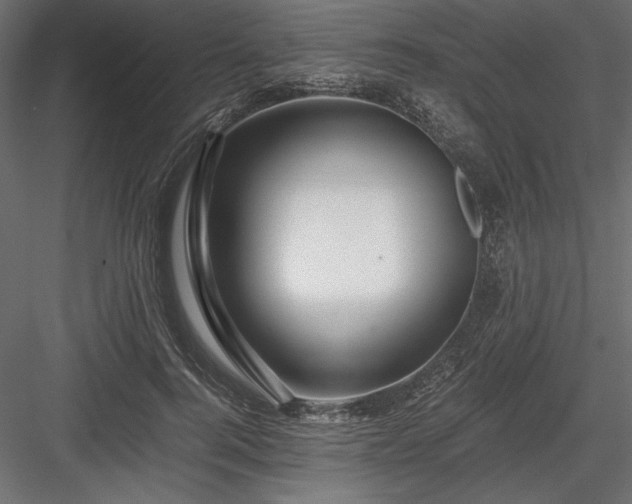 X0000084030744200702232258