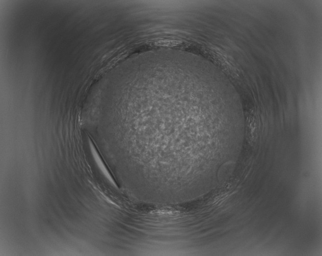 X0000084030745200702232258