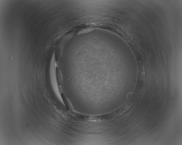 X0000084030746200702232258